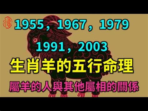 2003年屬羊|生肖羊: 性格，愛情，2024運勢，生肖1991，2003，2015